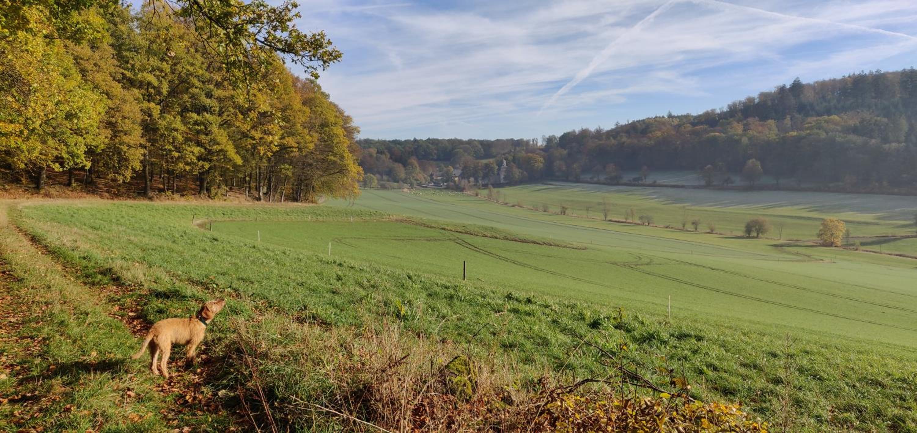 Idyllische Alte Schmiede beim Sorpesee