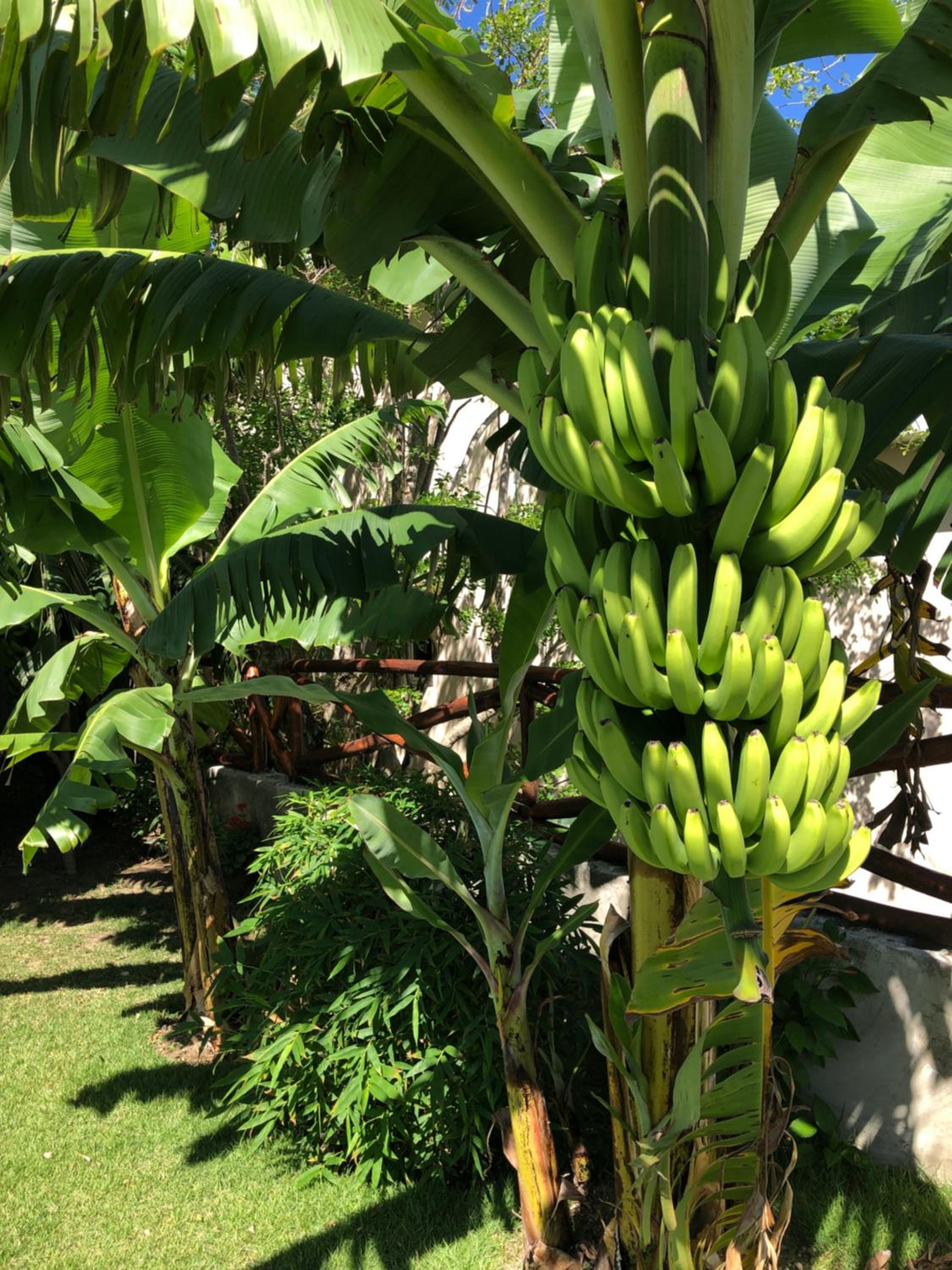 Sfeervolle studio in Encuentro Cabarete