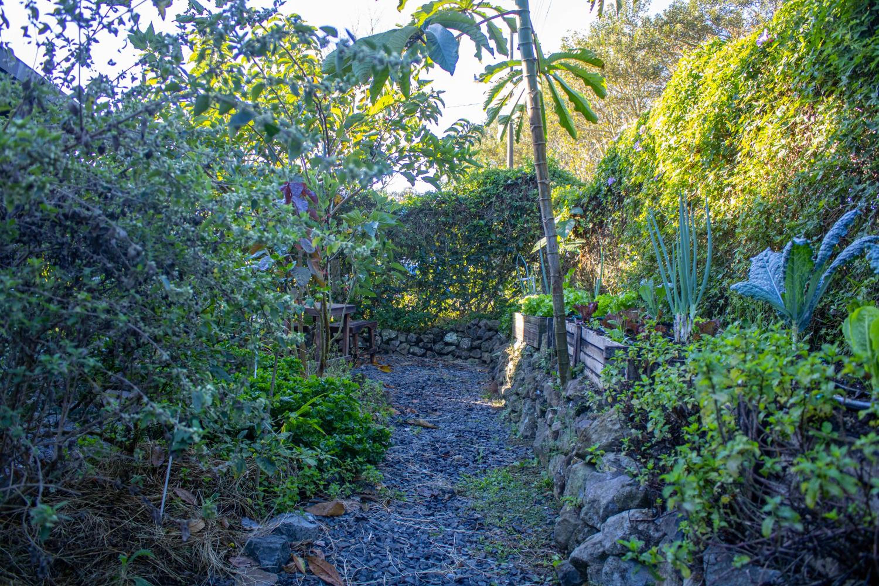 Casa Bohemia, un lugar de relajación rodeada de naturaleza