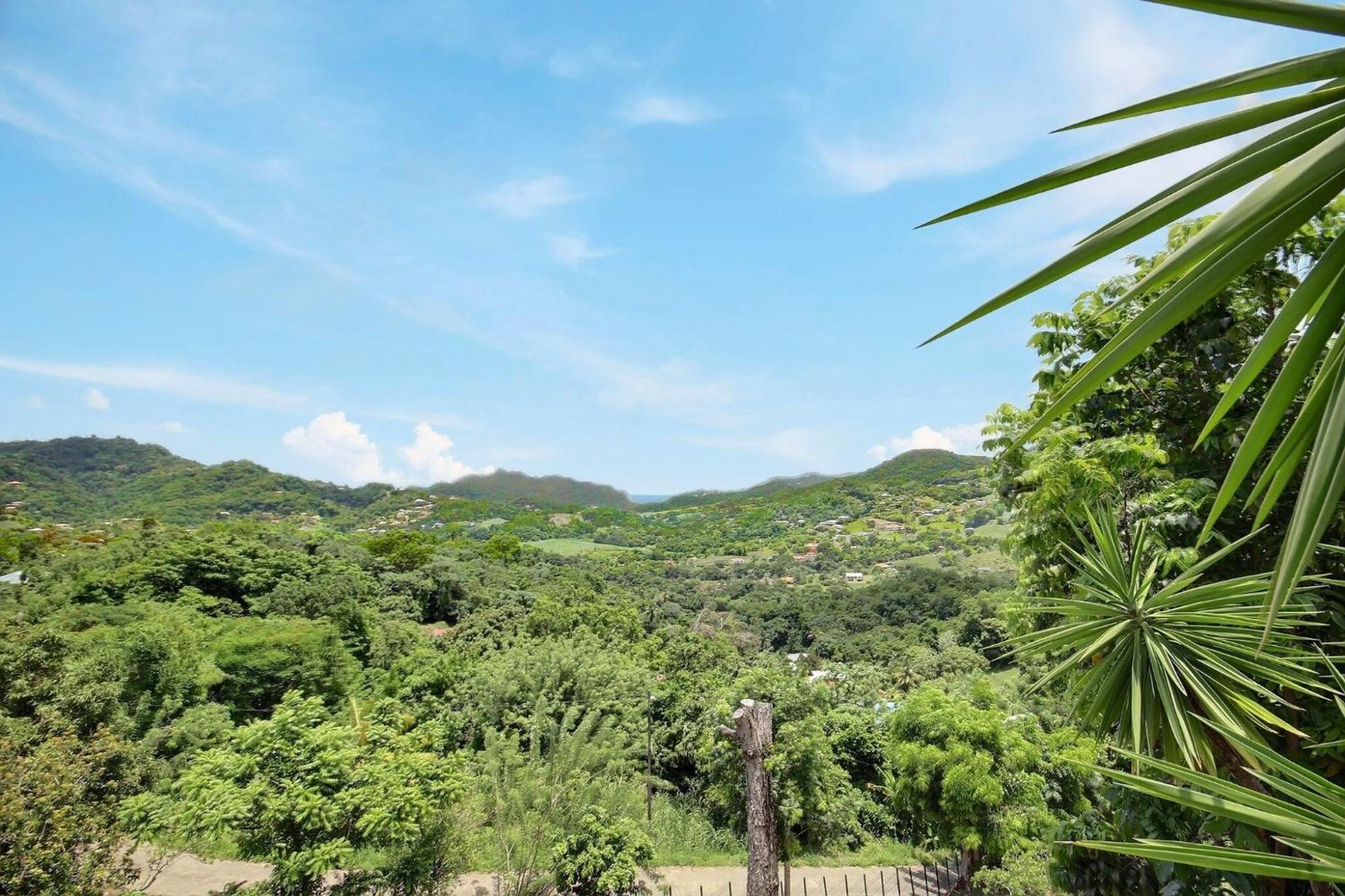 Nature Paradise