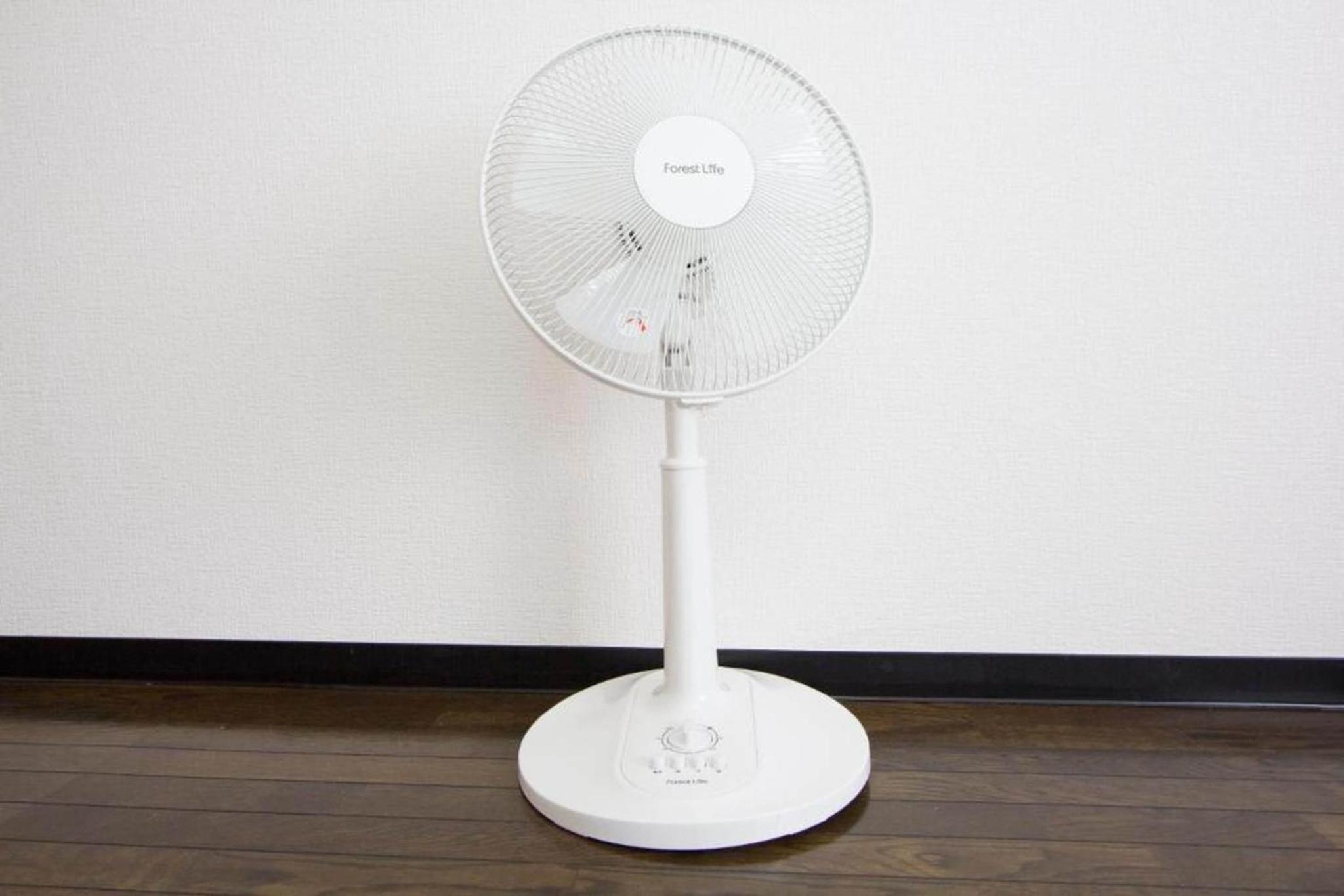 Photo 41