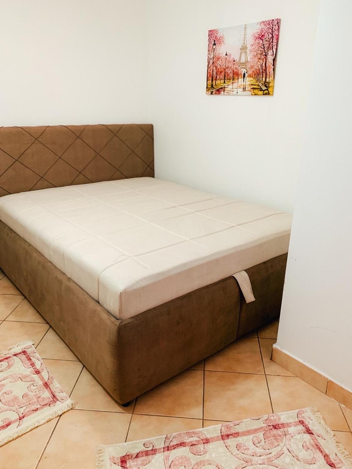 Podgorica city center apartment