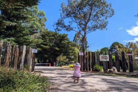 The Traveller Escape at Grampians Edge