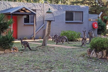 The Traveller Escape at Grampians Edge