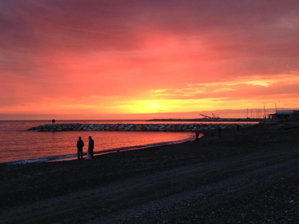 Mare Toscano photo 5