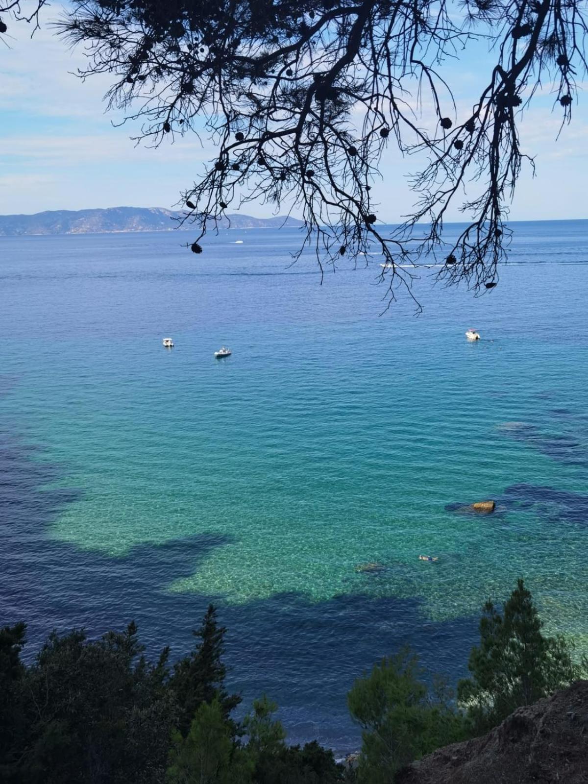 Mare Toscano en Riparbella — other