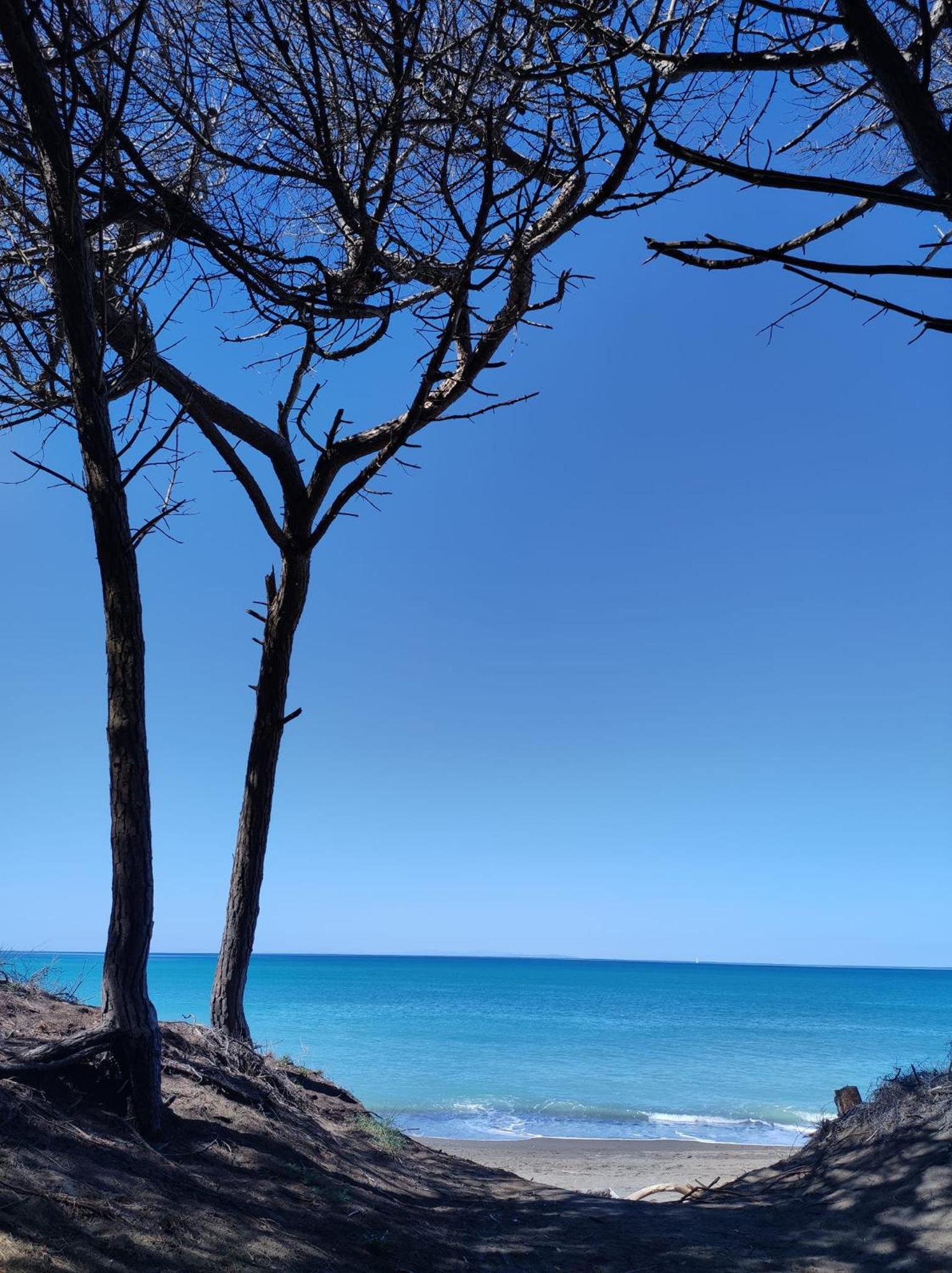 Mare Toscano en Riparbella — other