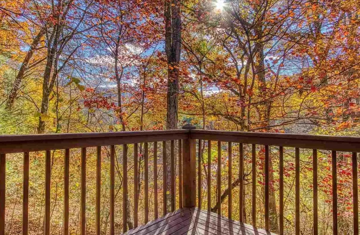 A Cowpoke's Dream view 4