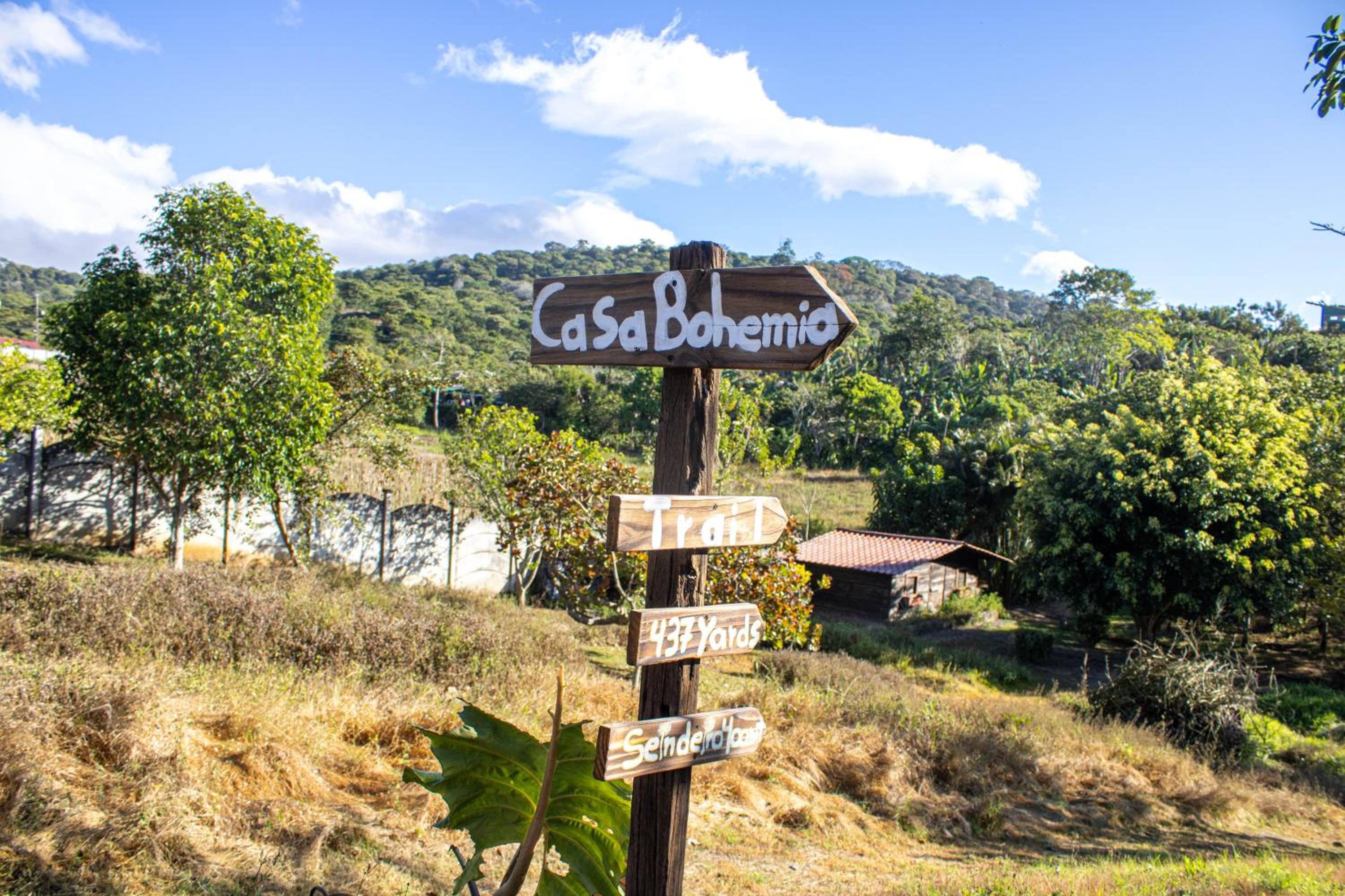 Casa Bohemia, un lugar de relajación rodeada de naturaleza
