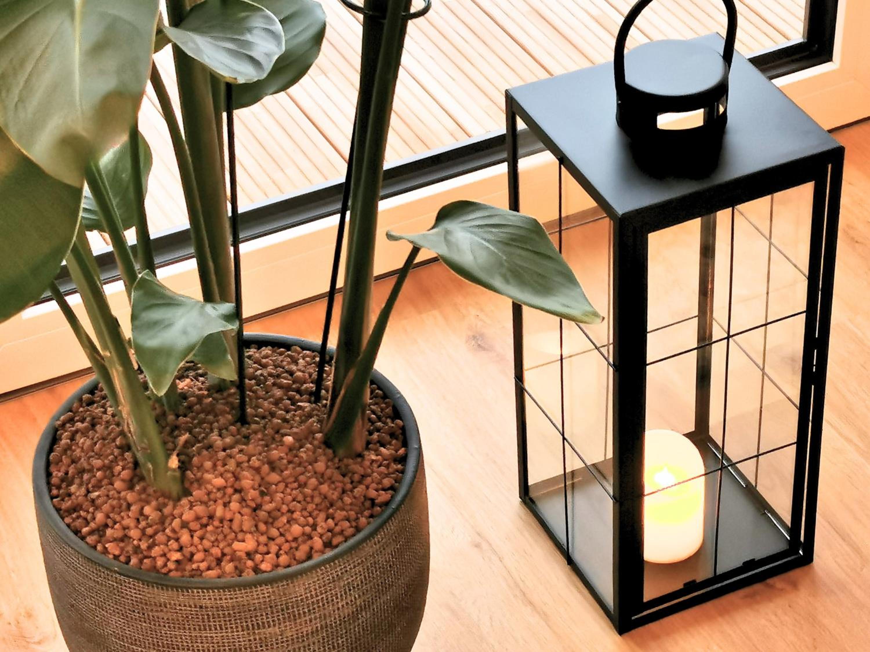 Fynbos Deluxe, Penthouse oder Balkon, Parkplatz