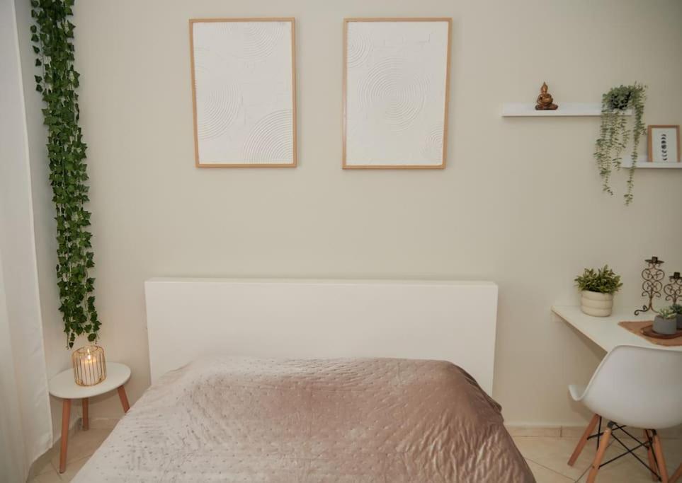 Florina Modern Studio view 2