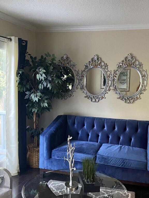 Cozy Oasis