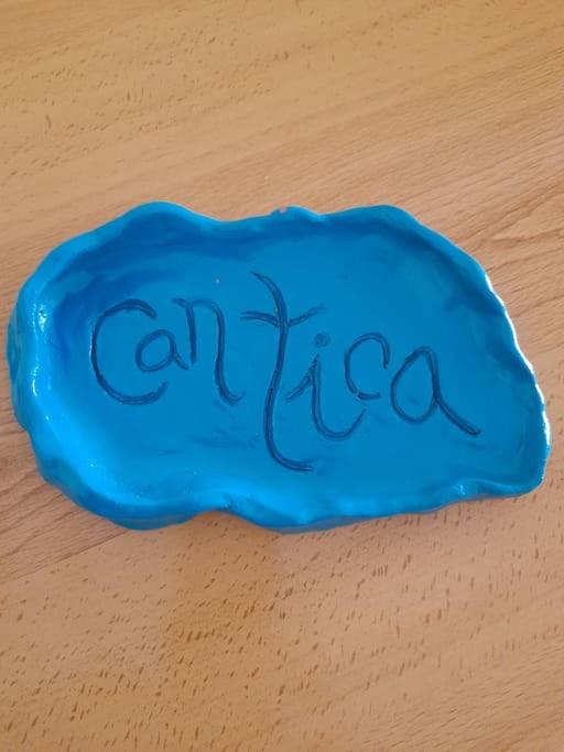 can tica