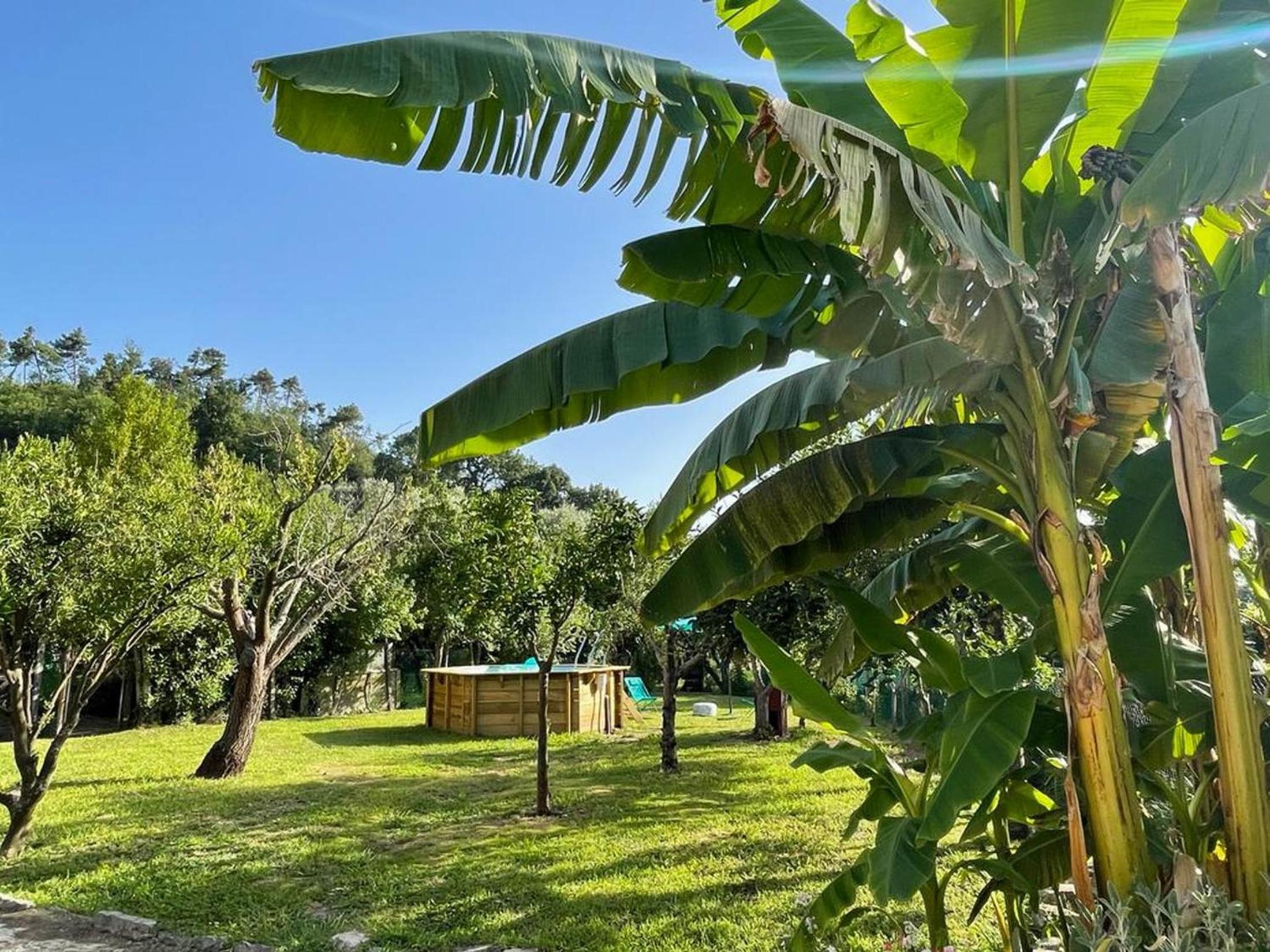 Casa Aia Sole with pool, A/C, garden, barbecue view 5