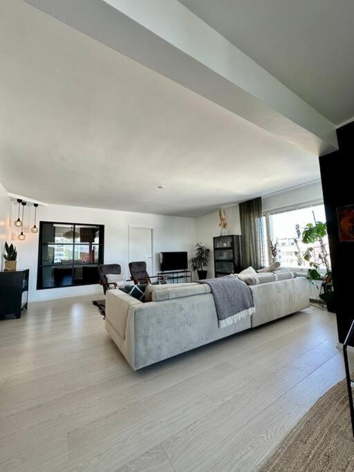 Luxury Penthouse In City Center