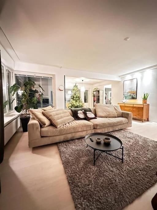 Luxury Penthouse In City Center