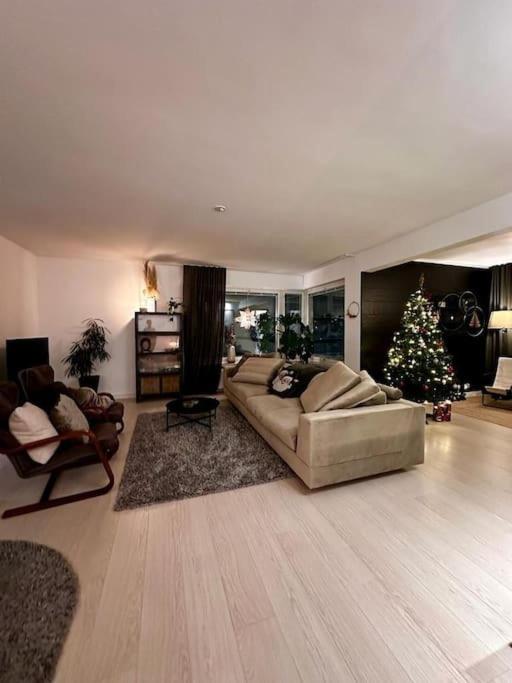 Luxury Penthouse In City Center