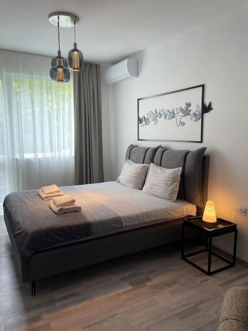 3 BR Apt, Spacious, Near South Park