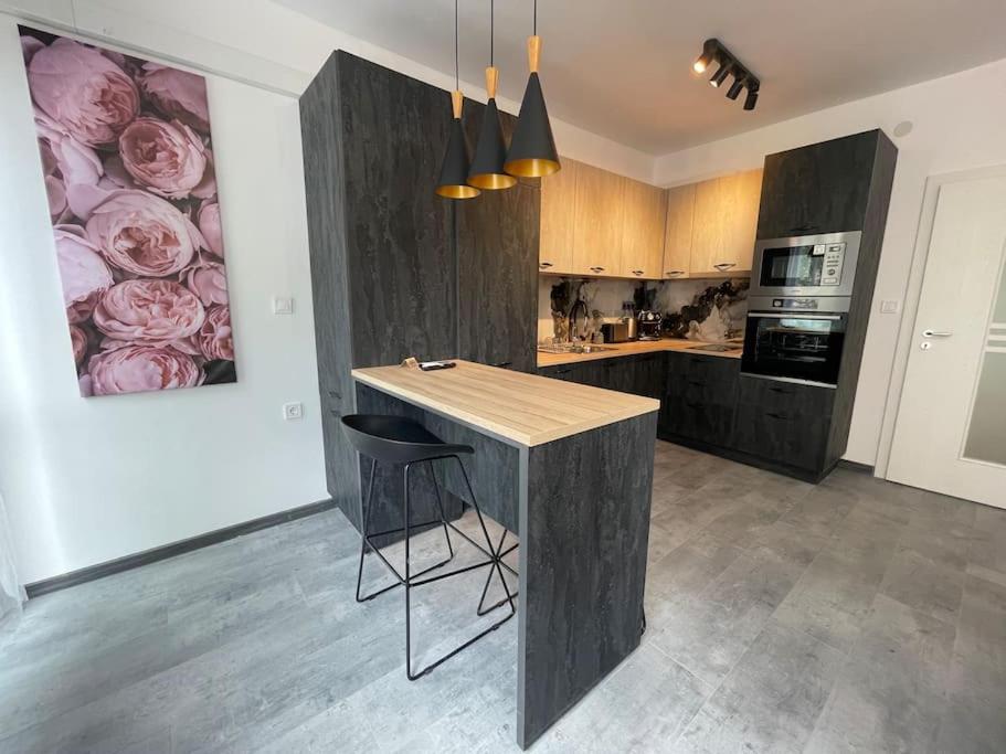 3 BR Apt, Spacious, Near South Park