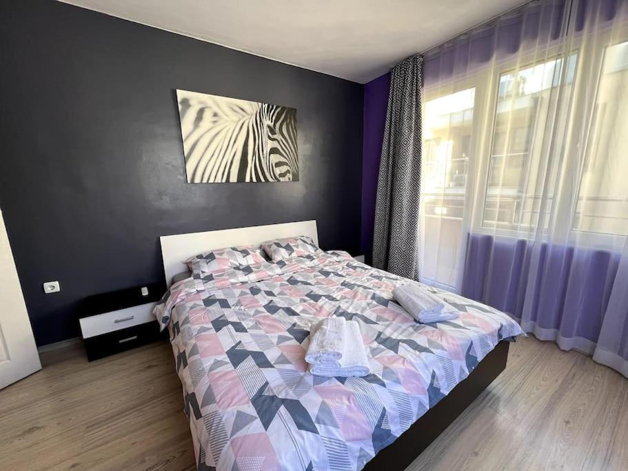 Lovely 2-bedroom rental unit in Sofia