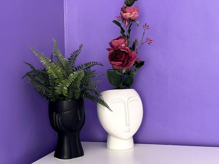 Lovely 2-bedroom rental unit in Sofia