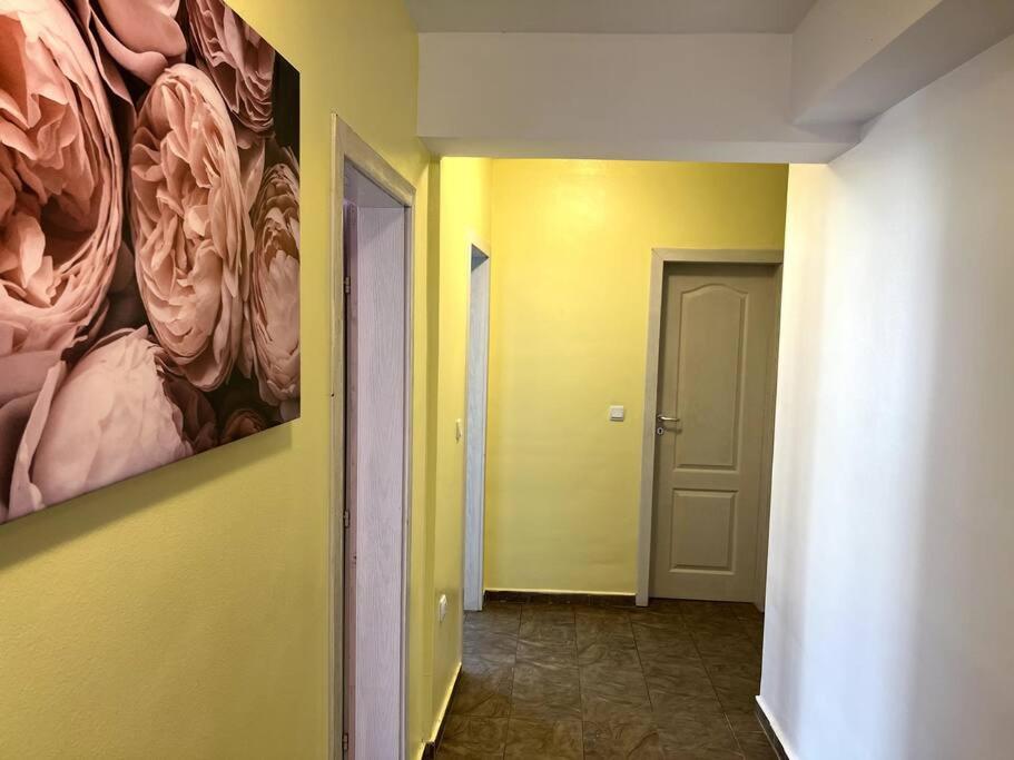 Lovely 2-bedroom rental unit in Sofia