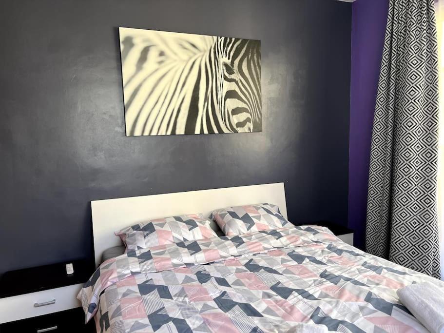 Lovely 2-bedroom rental unit in Sofia