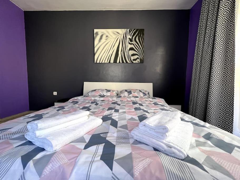 Lovely 2-bedroom rental unit in Sofia