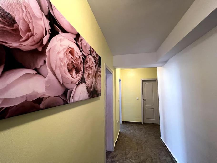 Lovely 2-bedroom rental unit in Sofia
