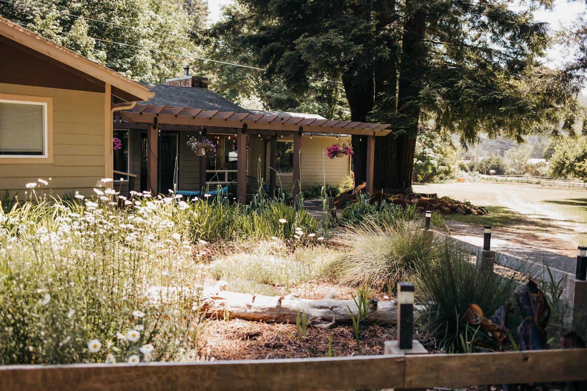 Taylor Creek Lodge view 2