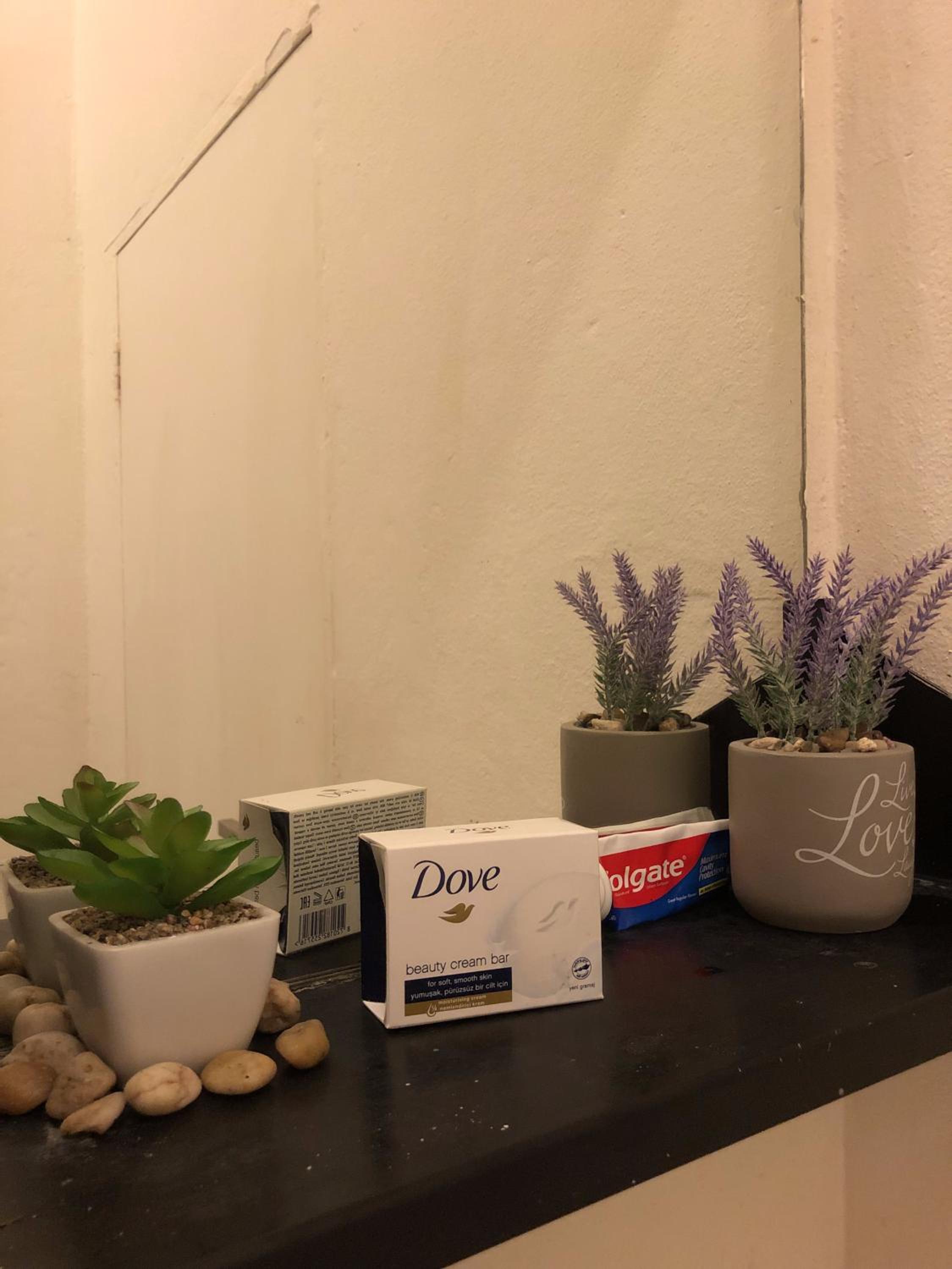 Sun's spacious apartment