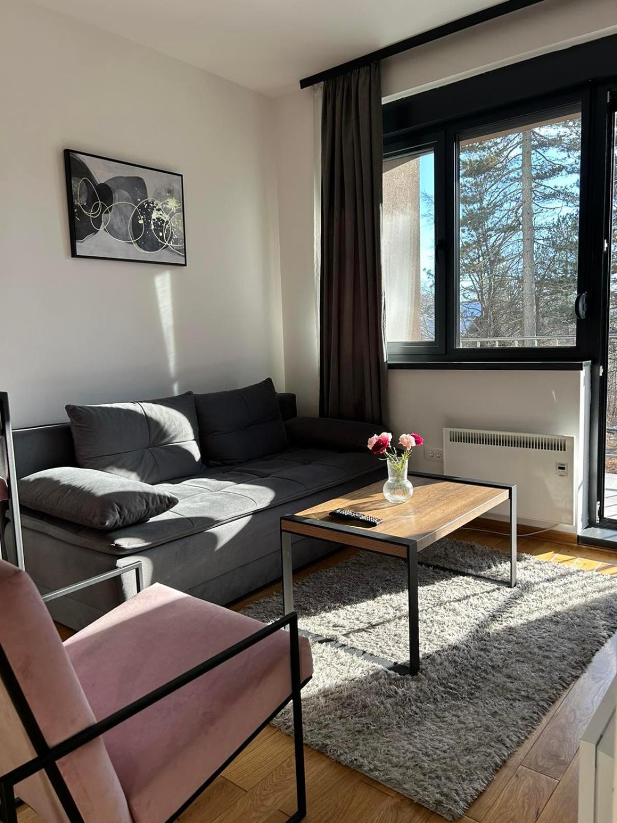 Apartman Istra_28 Titova Vila view 5
