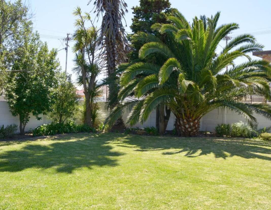 The Other House - Cape Town view 4