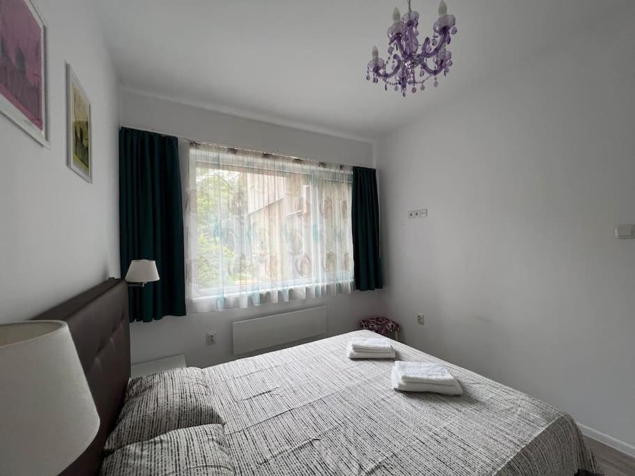Lovely central 1-bedroom rental with patio