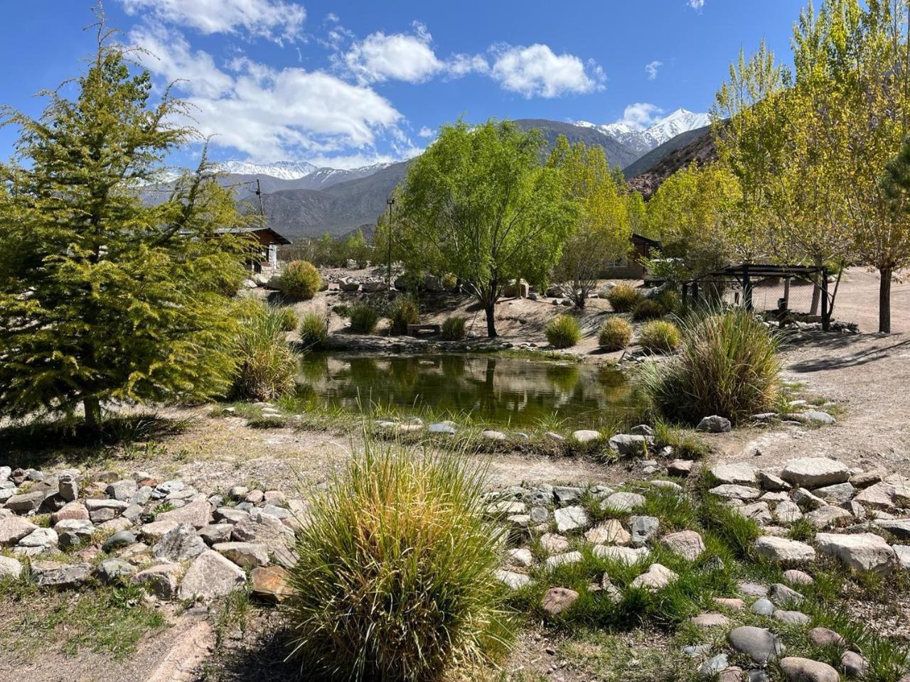 Viví Potrerillos