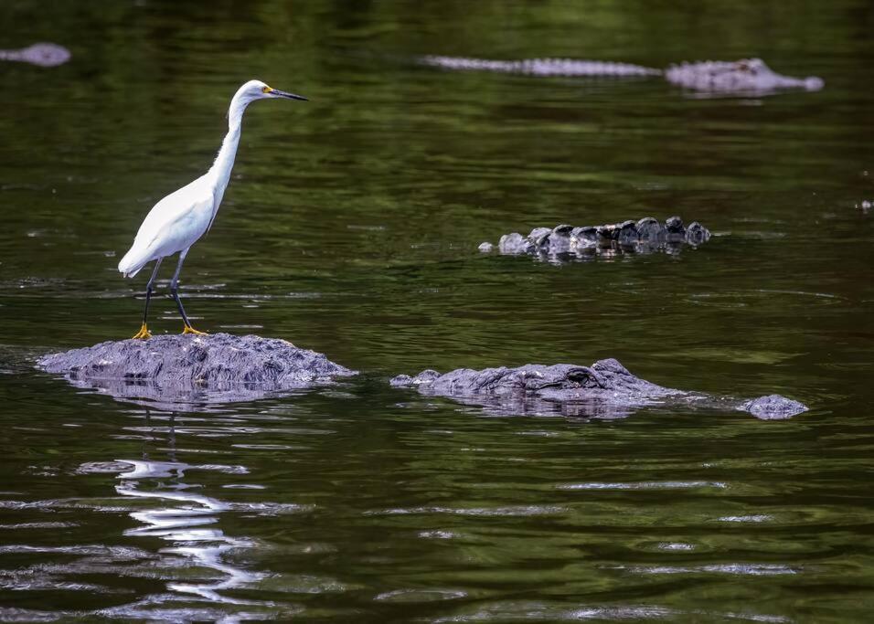 Modern LuxuryPeacefulGolfPoolBeachSpa - Property Image 38