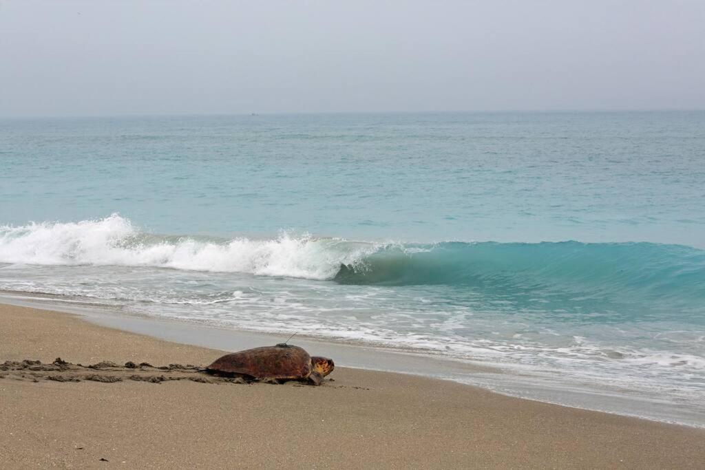 Modern LuxuryPeacefulGolfPoolBeachSpa - Property Image 43