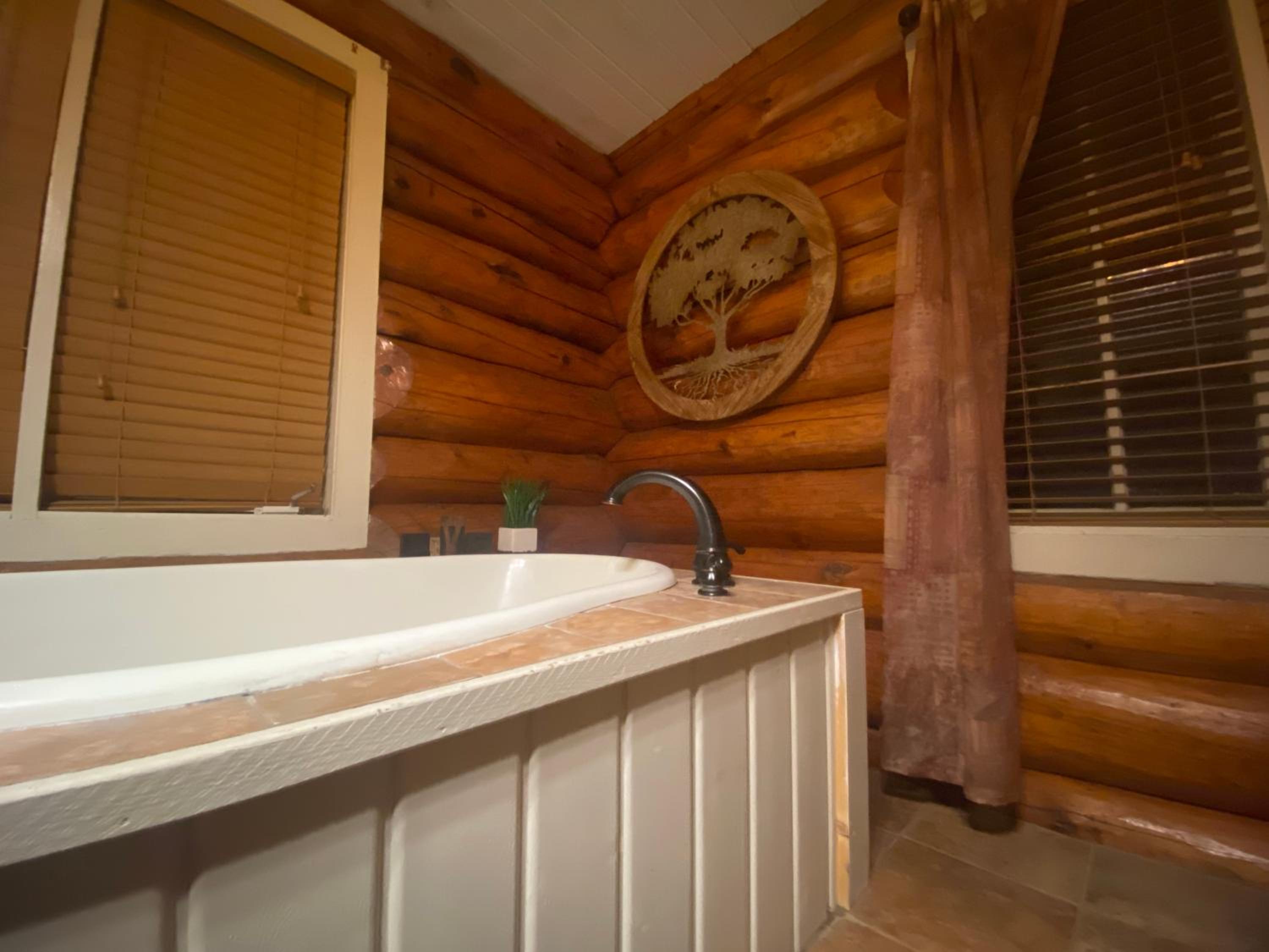 Historic Log Cabin #14 at Horse Creek Resort view 2