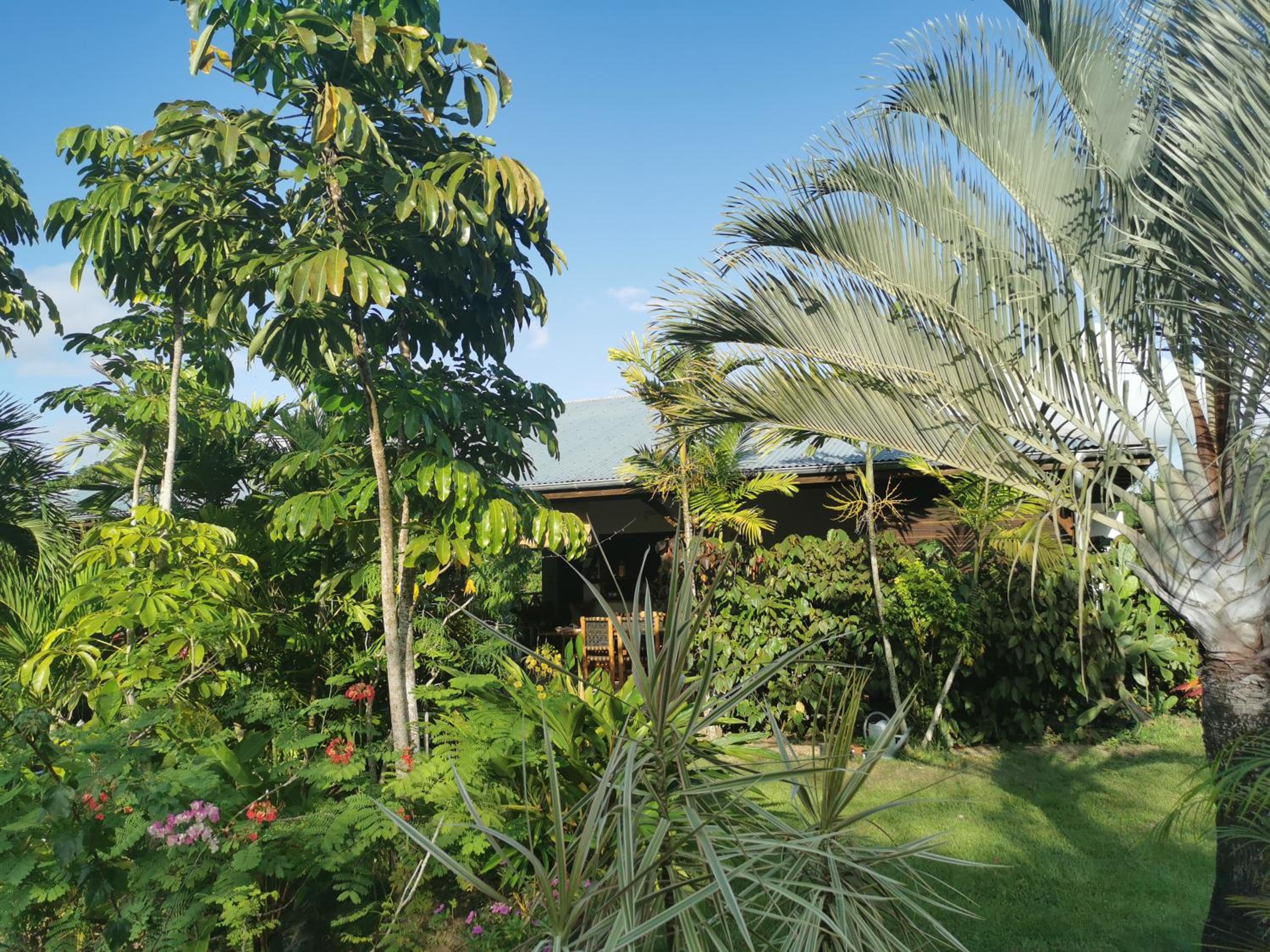 Villa Pitaya view 3