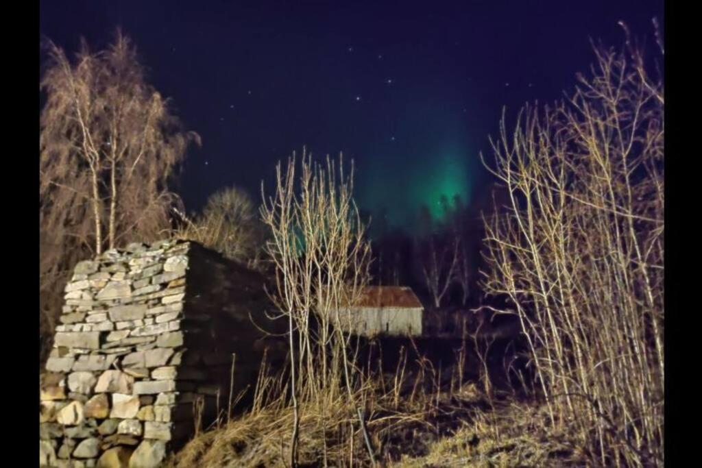 Et flott hus i fine og rolige omgivelser! view 4