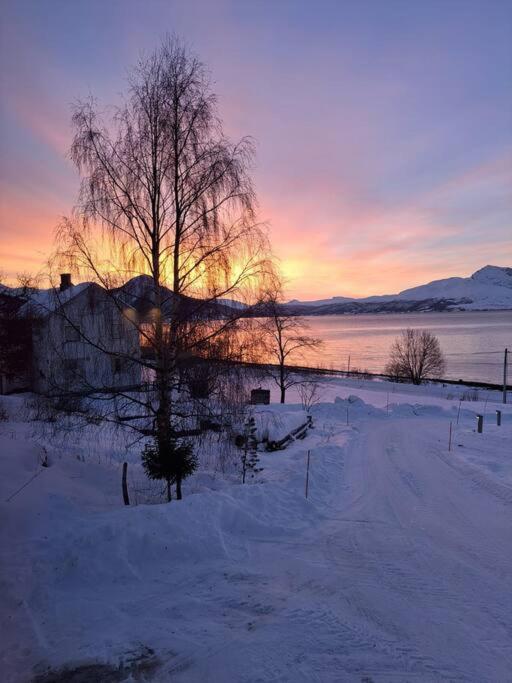 Et flott hus i fine og rolige omgivelser! view 5