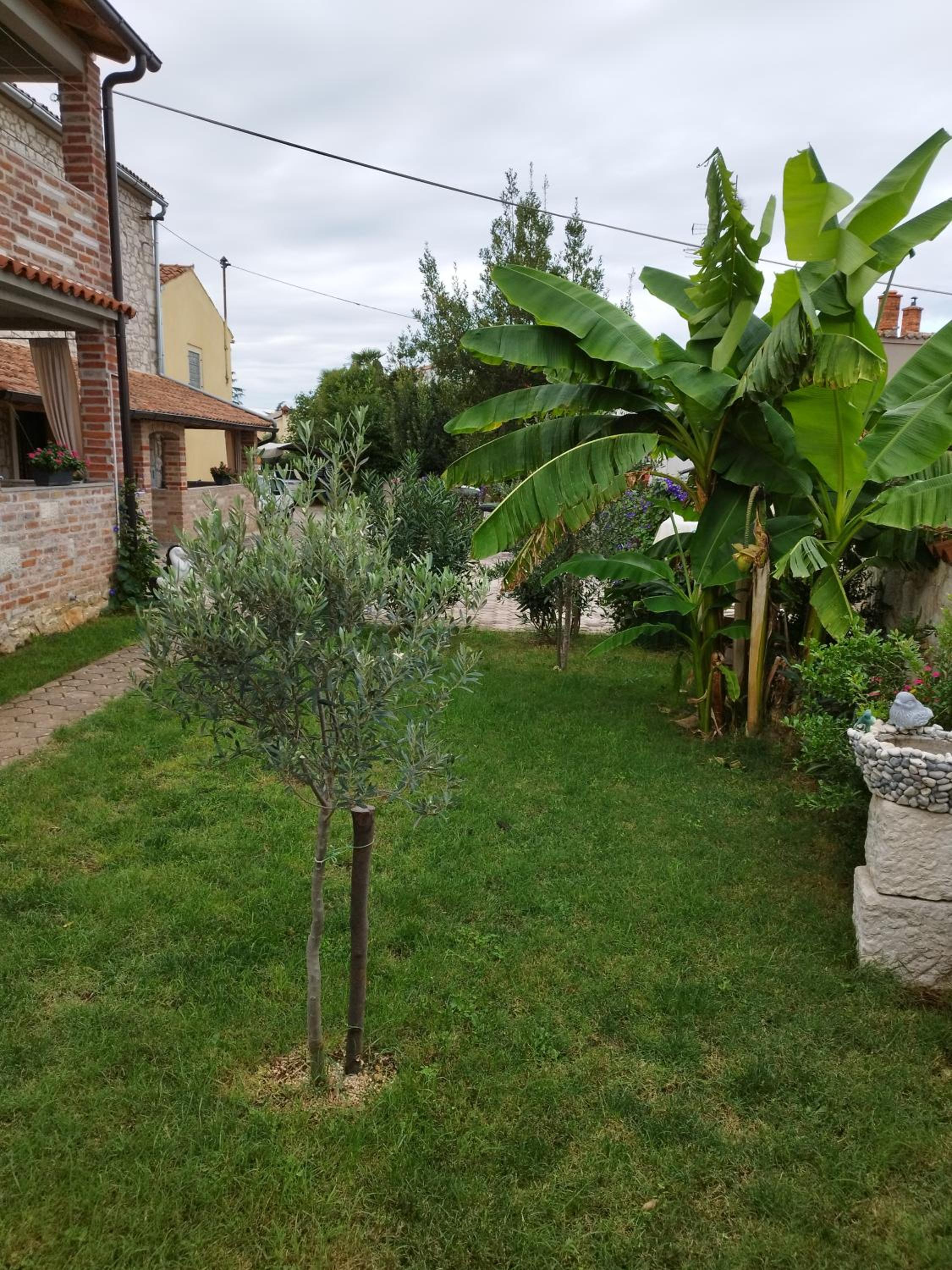 APARTMANI MEMIĆ 100M OD MORA view 4