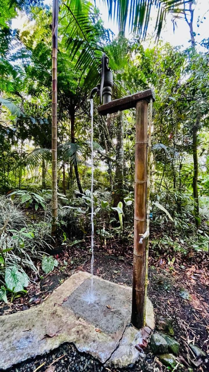 Finca Durango Circasia