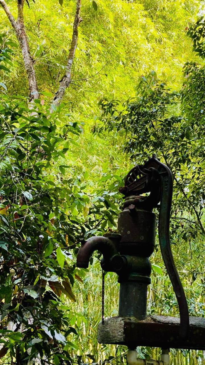 Finca Durango Circasia