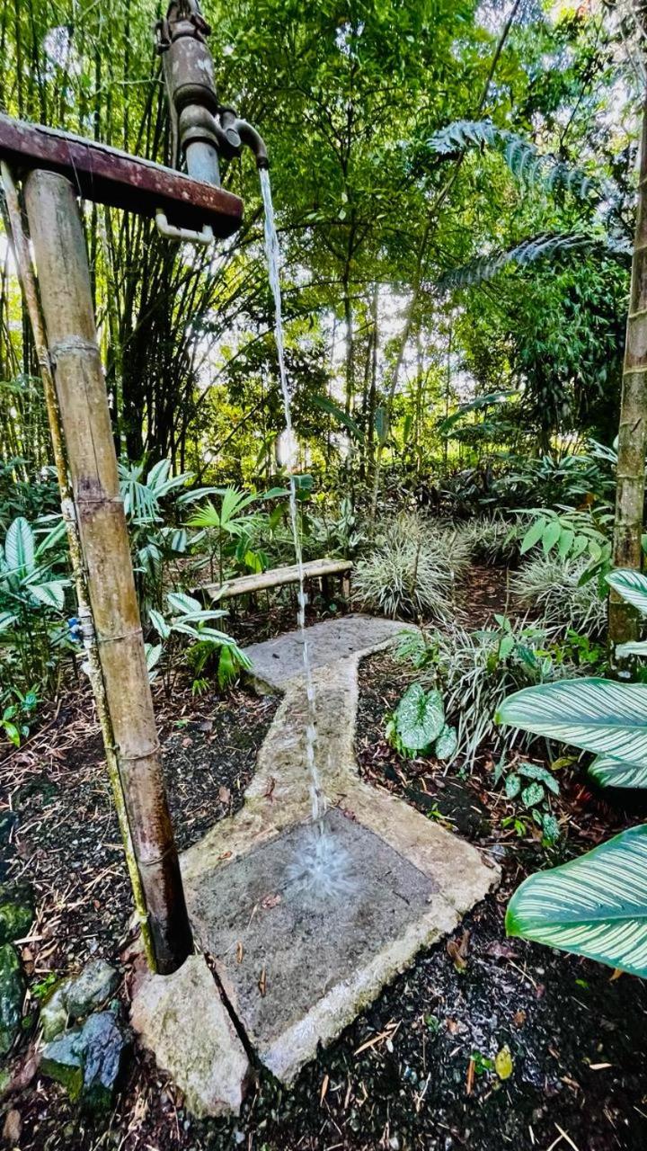 Finca Durango Circasia