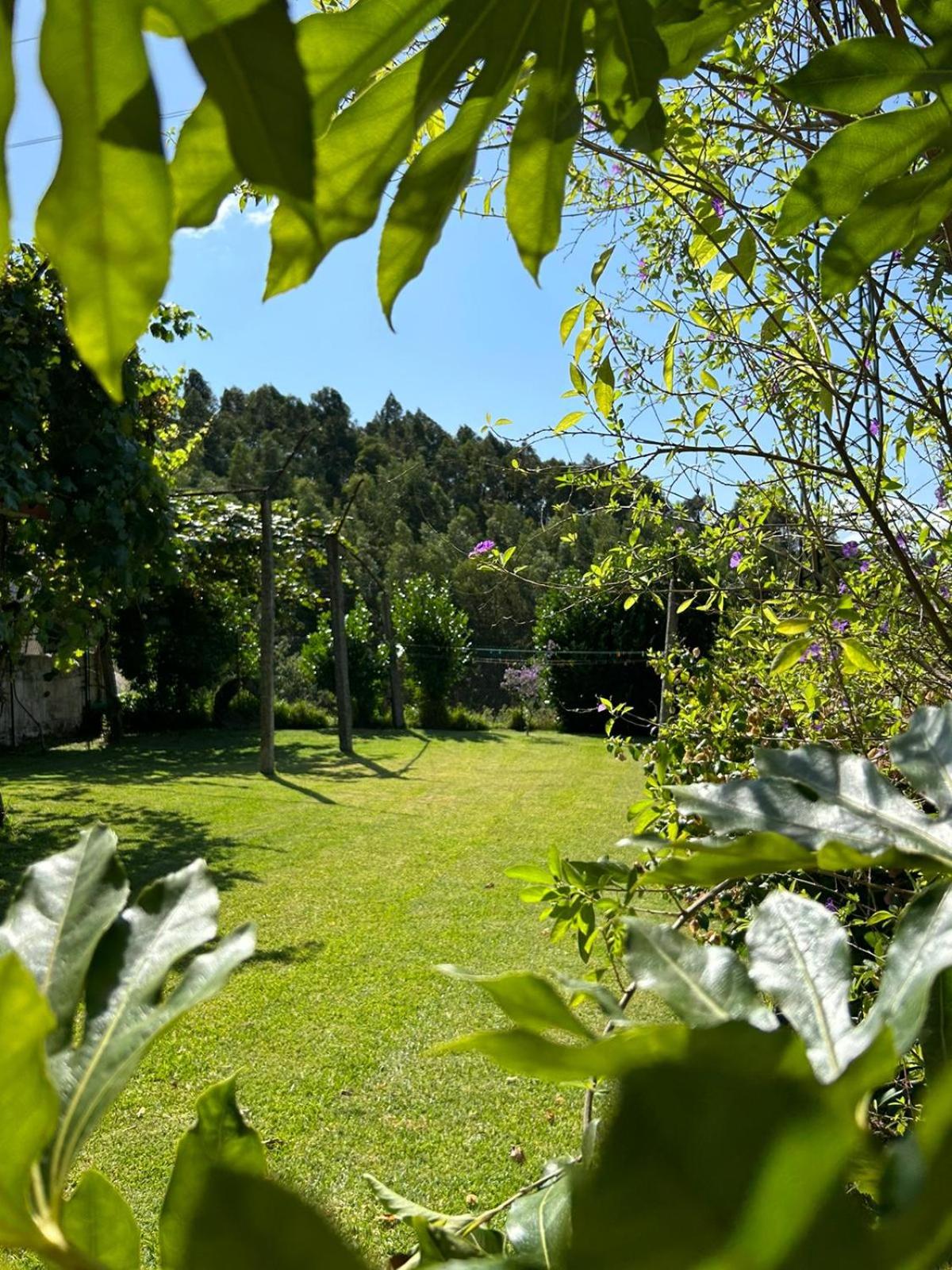 Fontainha House & SPA view 5