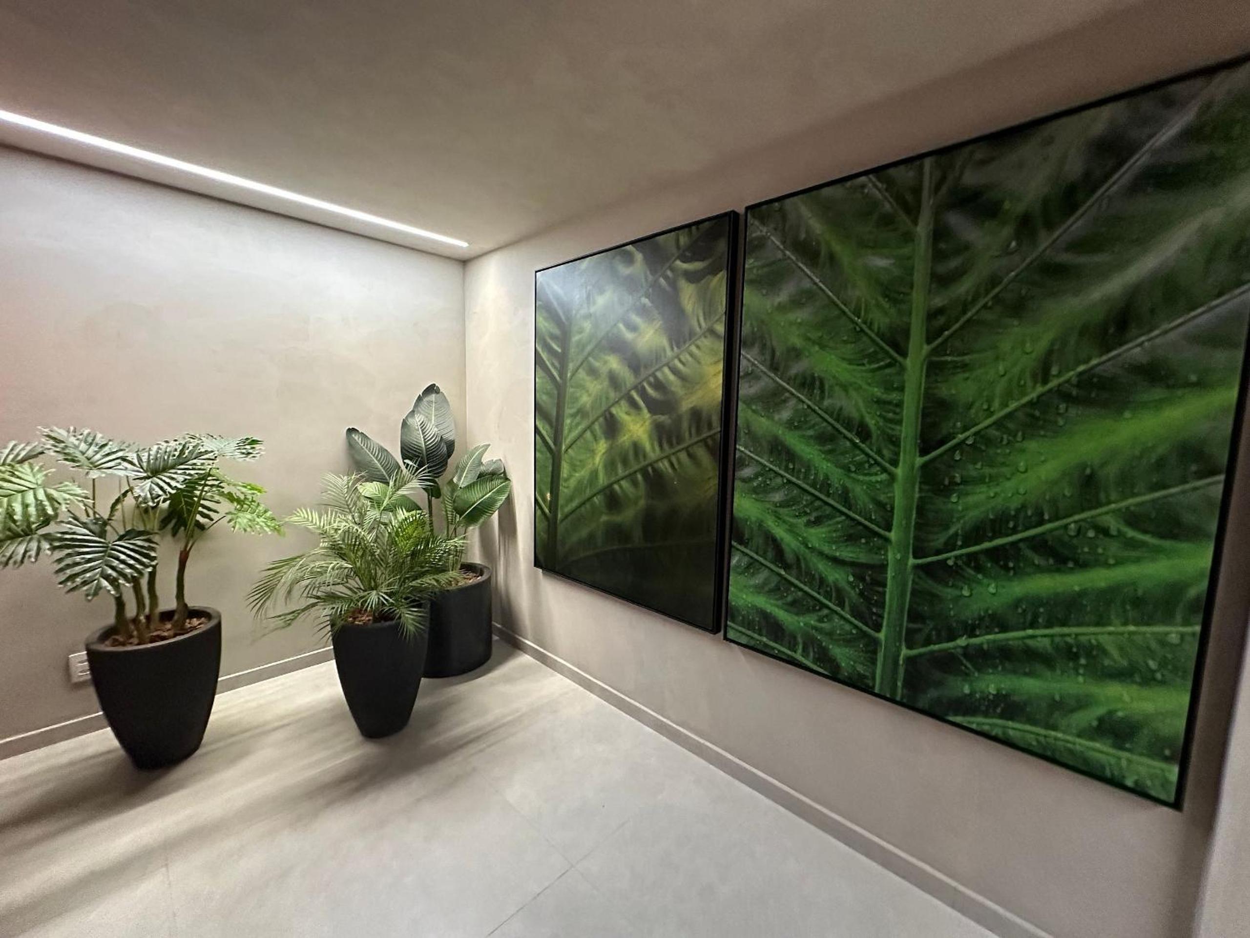 Studio Pamplona Jardins cd 812