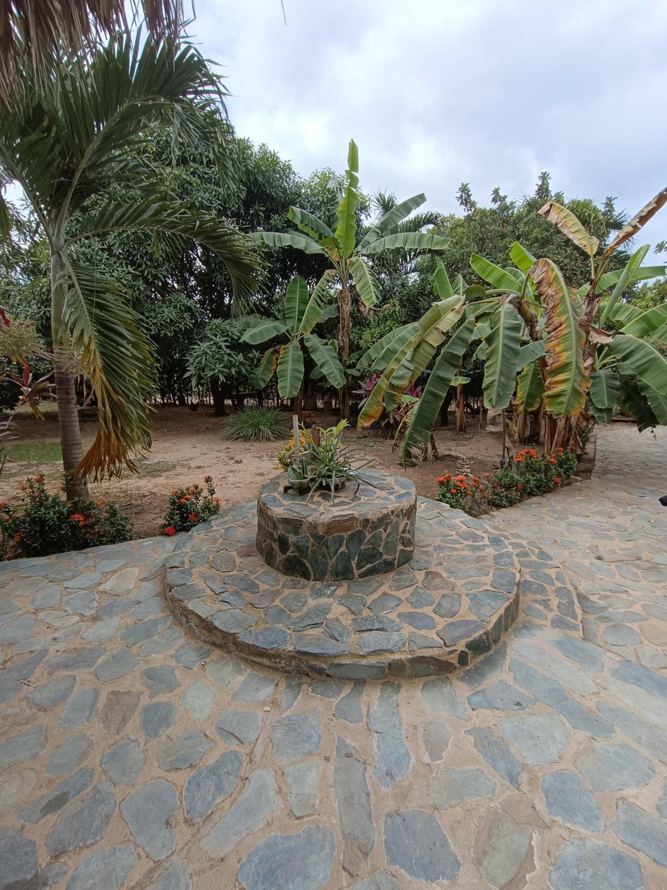 El Paraiso de Carmen