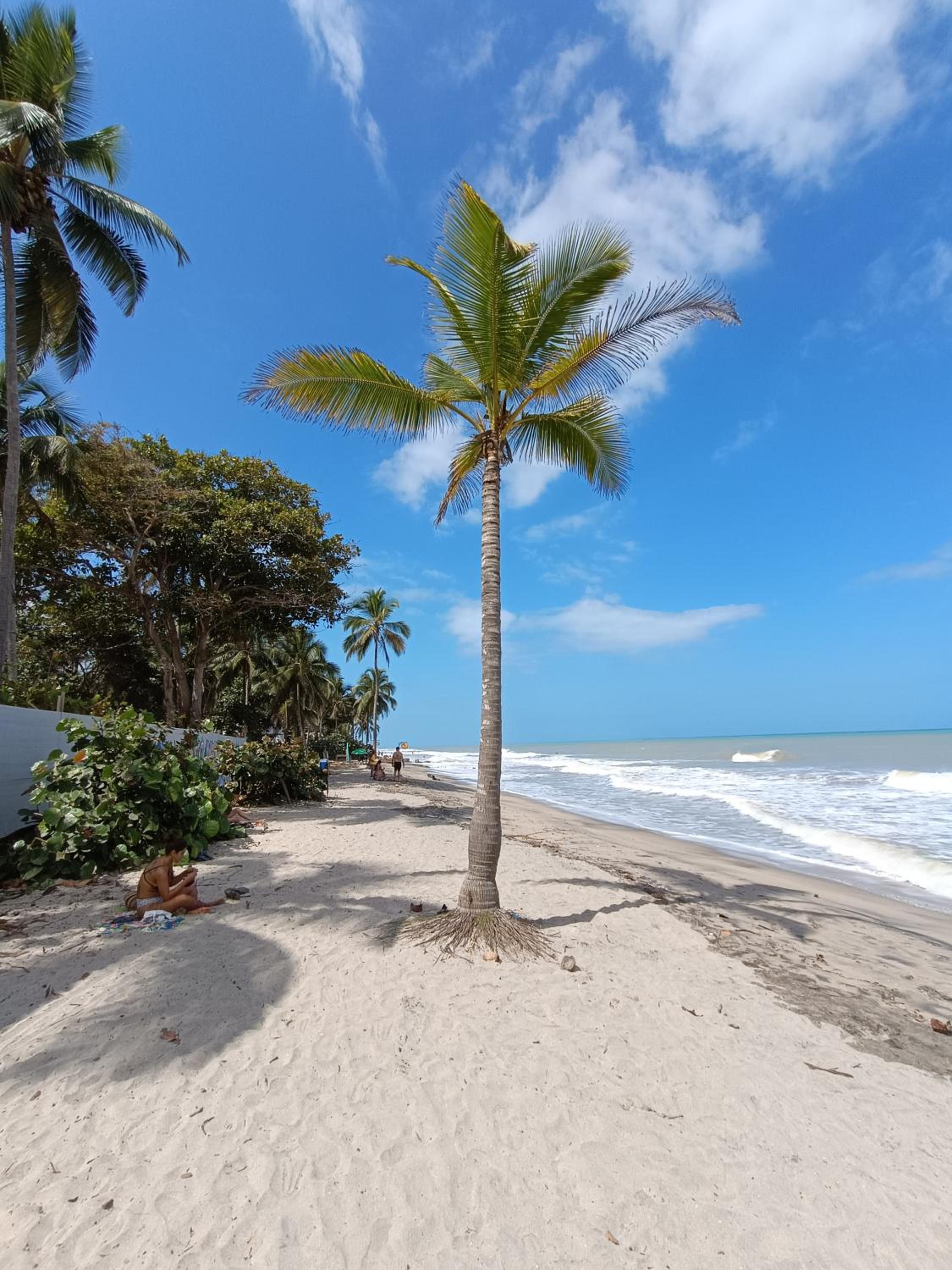 El Paraiso de Carmen