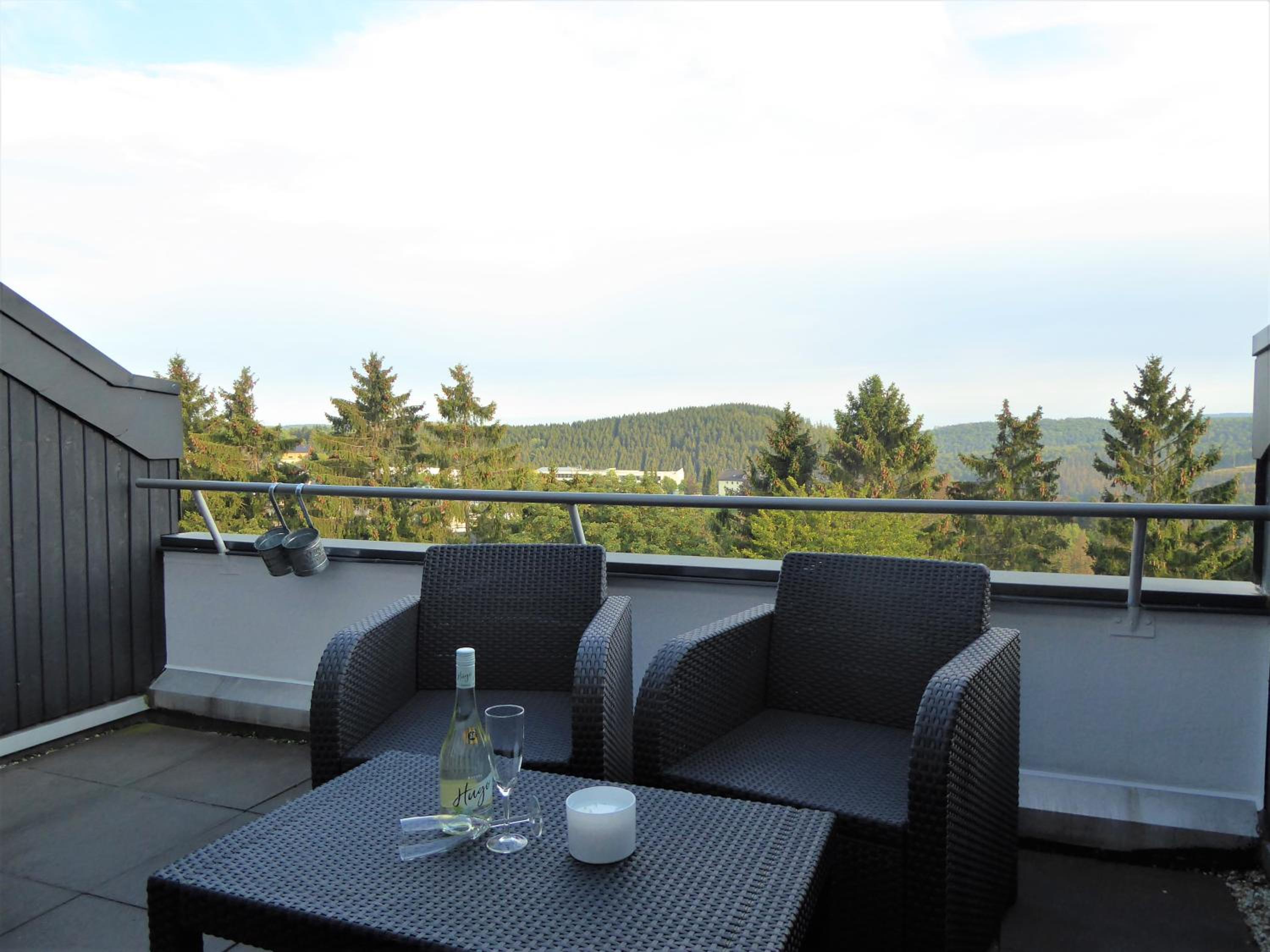 Nature Vibes Winterberg Ferienwohnung Pool Sauna Terrasse Wifi Balkon near Ski Lift view 5